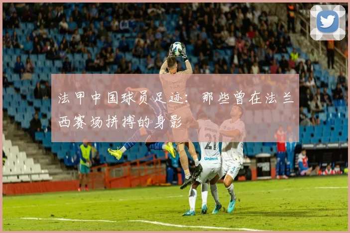 法甲中国球员足迹：那些曾在法兰西赛场拼搏的身影